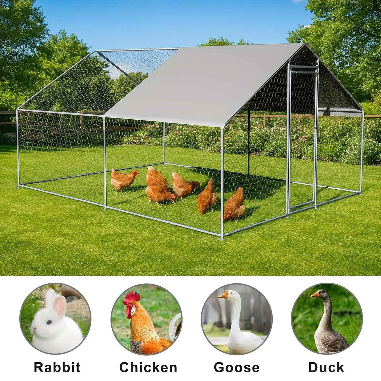Extra Large Walk-In Chicken Coop & Run -